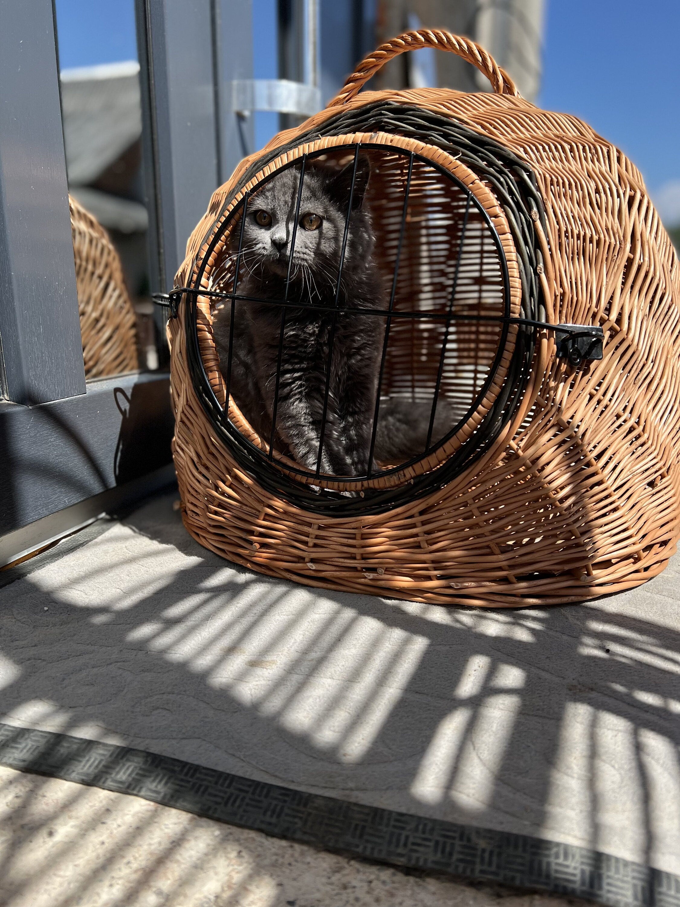Wicker Pet Carrier, Pet Basket, House for animals