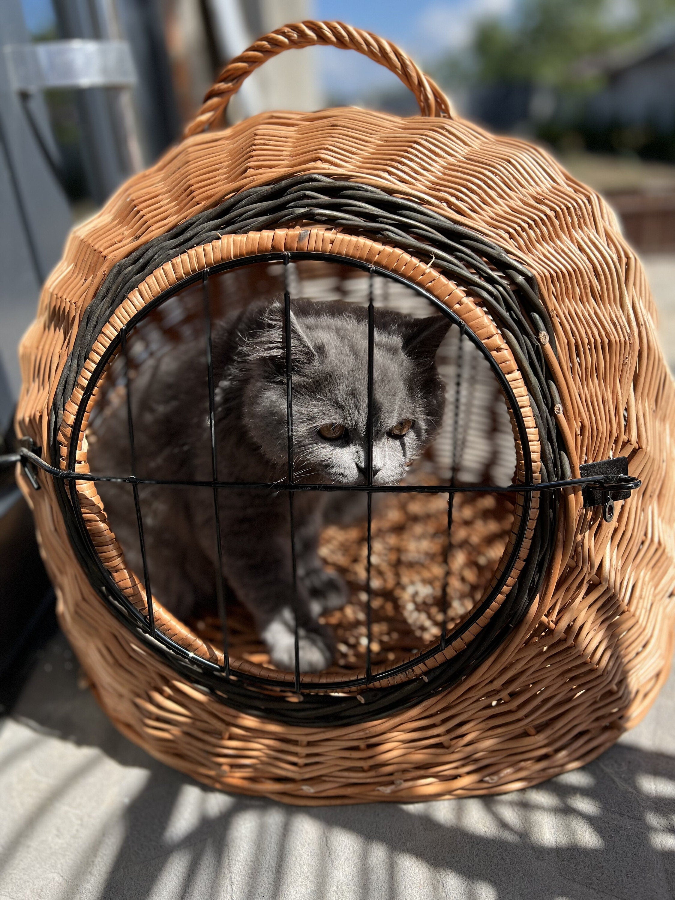 Wicker Pet Carrier, Pet Basket, House for animals