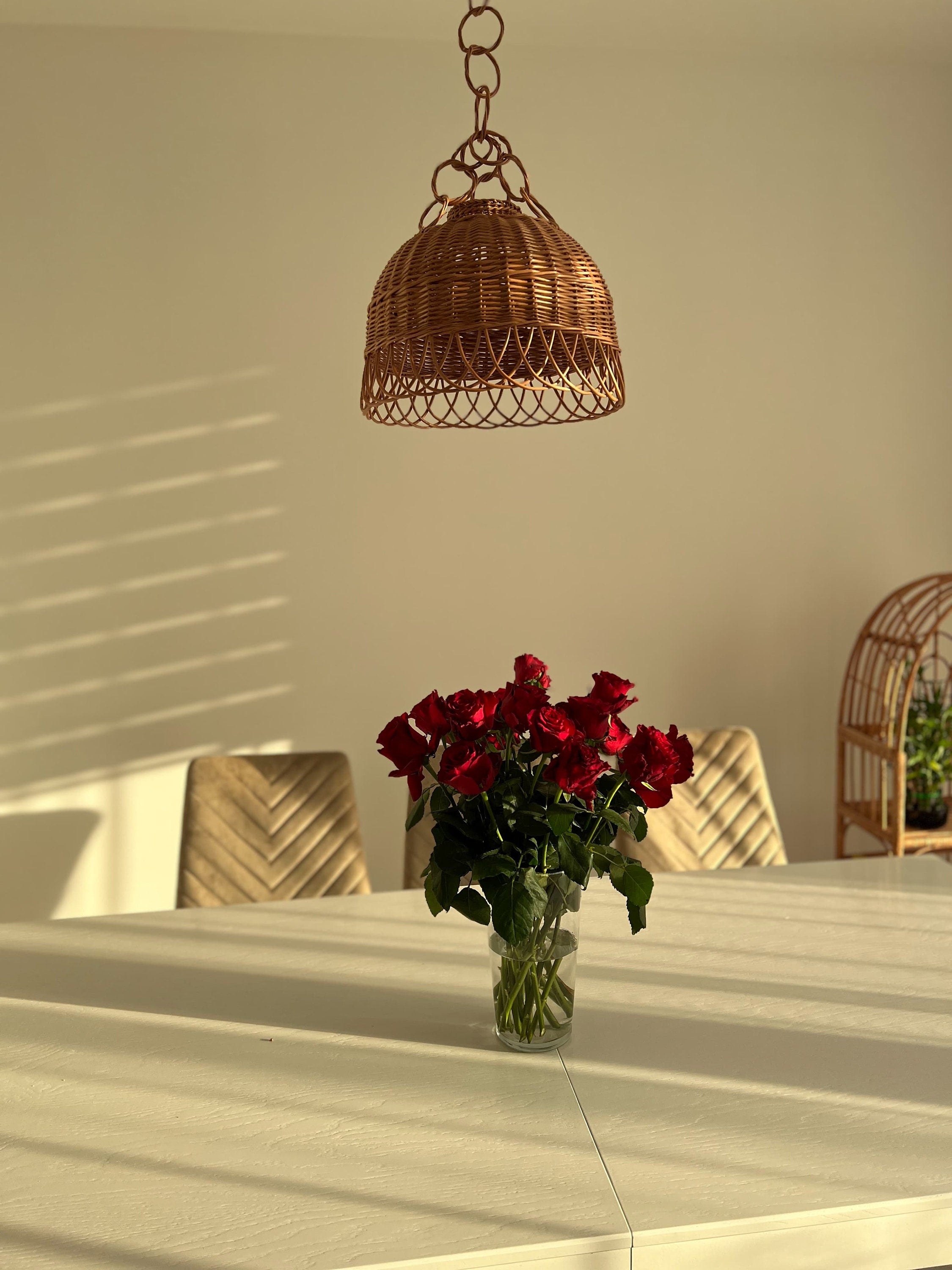 Luxury Wicker Pendant Light Ceiling Lamp hanging lamp shade Home decor