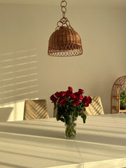 Luxury Wicker Pendant Light Ceiling Lamp hanging lamp shade Home decor